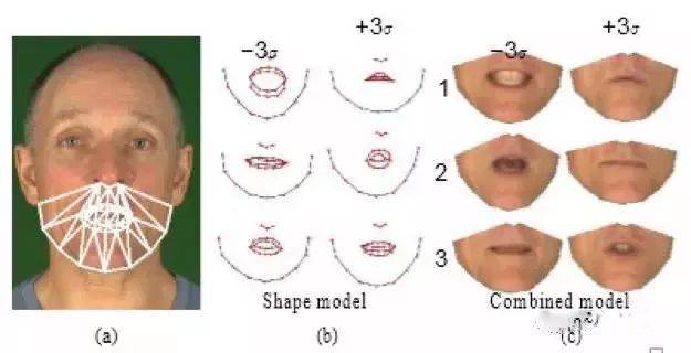 555.jpeg