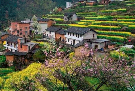 微信截图_20180524141607.png