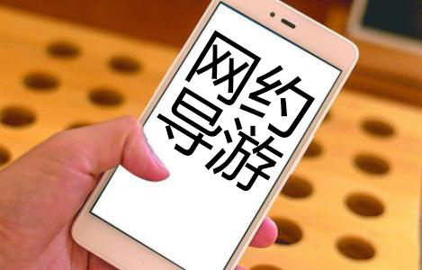 “网约导游”调查：订单增长背后仍需加强监管