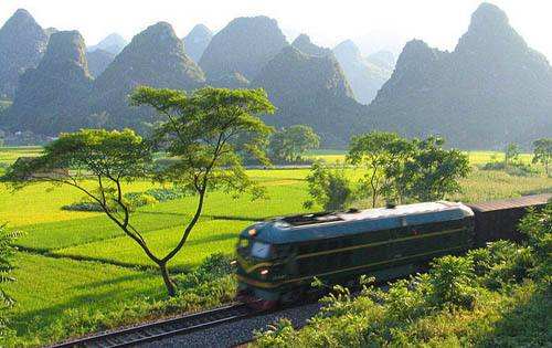 乡村游热浪下的民宿经济：“野百合”迎春天