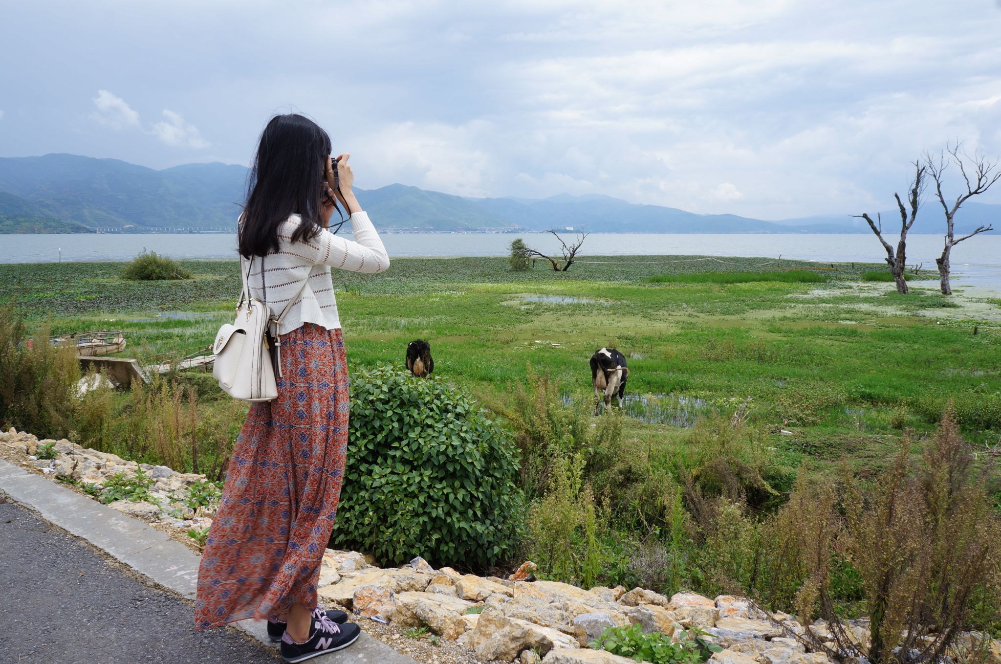 云南“全域旅游”智慧平台明年3月上线