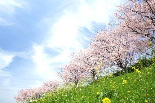 2018年清明假日旅游市场信息
