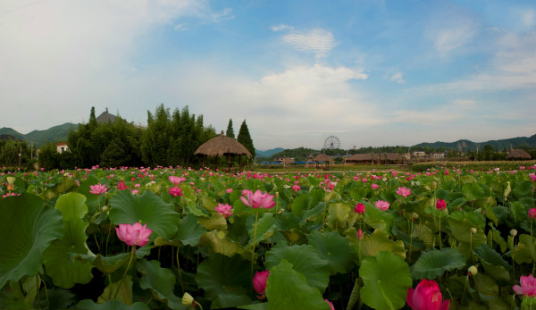 7225670_817604_meitu_3.jpg