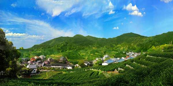 对全域旅游的基本认知
