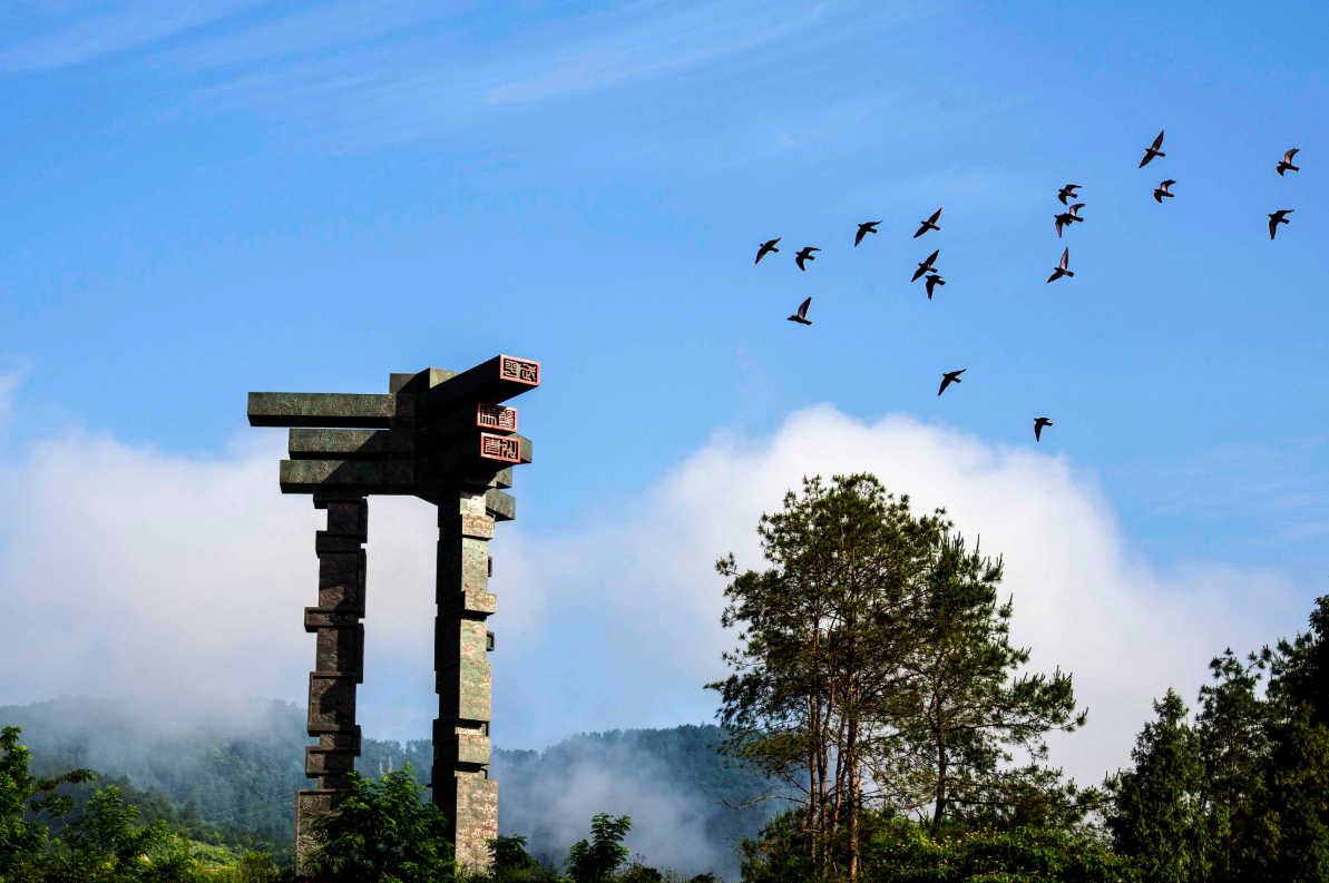 1584307956194094863.png image002.png