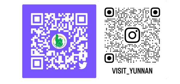 微信截图_20240327092833.png