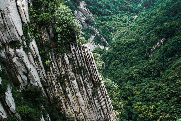 中国旅游业大变迁