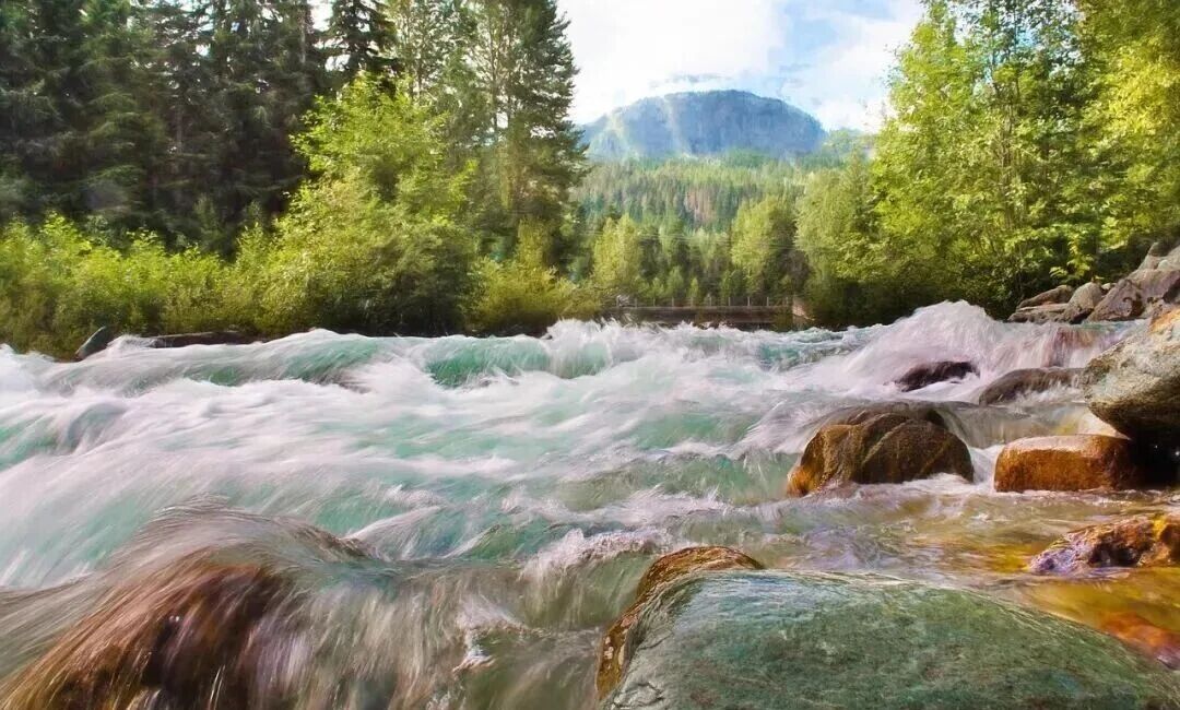 5A级旅游景区文旅融合深度实操路径研究——基于创建、运营、迭代三阶段的系统性阐述