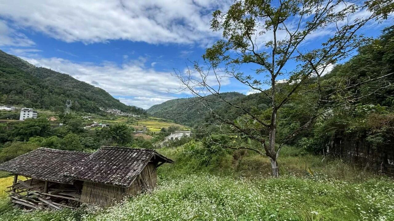 2025旅游行业趋势、痛点与战略破局