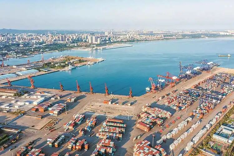 1766631314028081195.jpg 4.jpg