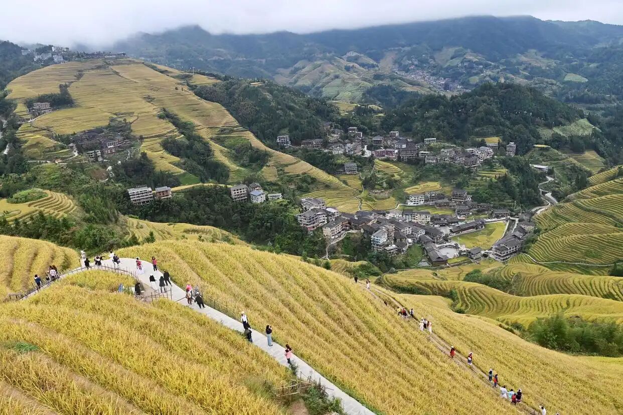 新业态、新场景带来高质量、多样化供给，文旅产业跃动蓬勃发展生机