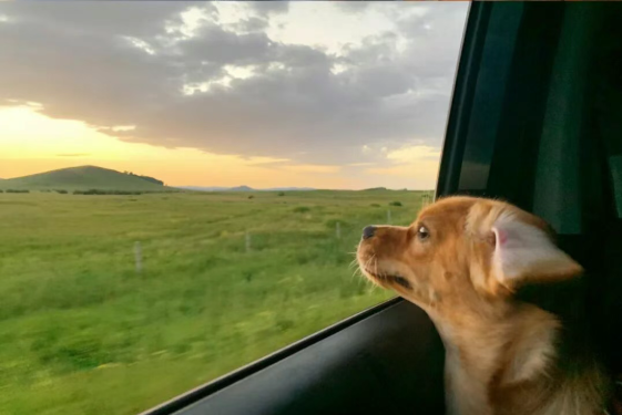 1770011217702068633.png 1.png