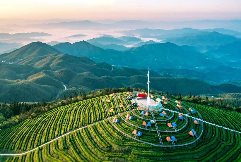 2026 年第一季度景区运行情况调研报告