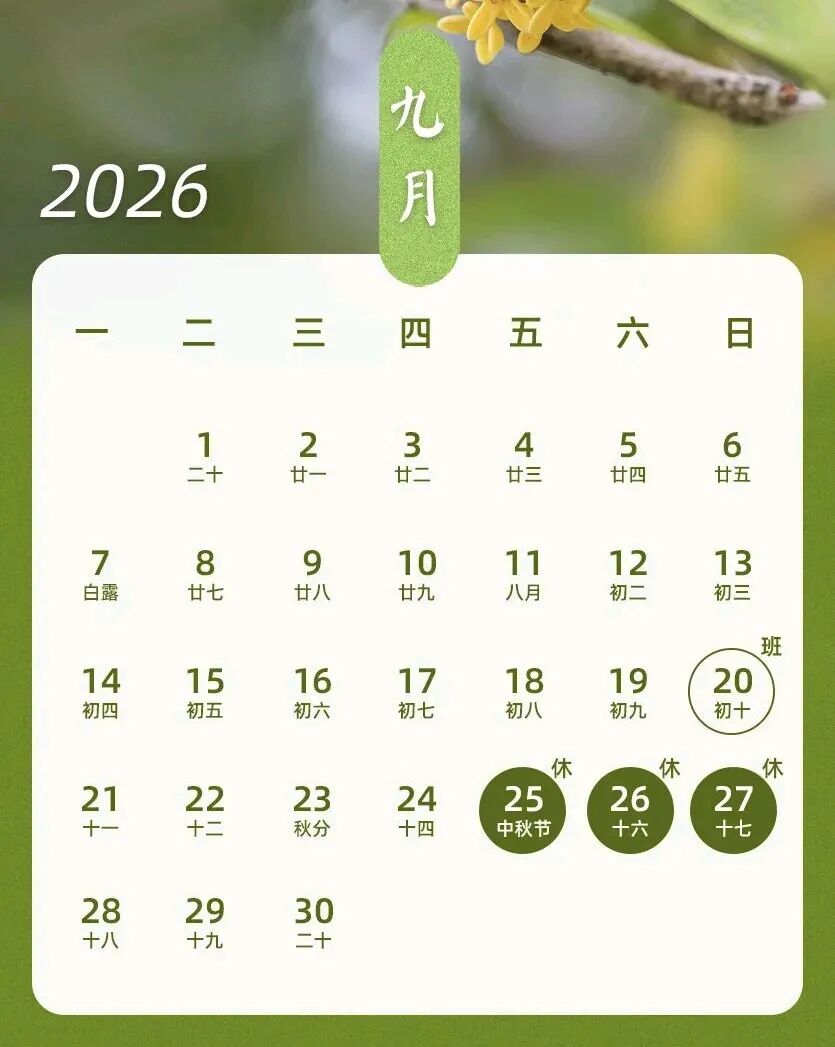 1788169531768071718.jpg 1788169531768071718.jpg